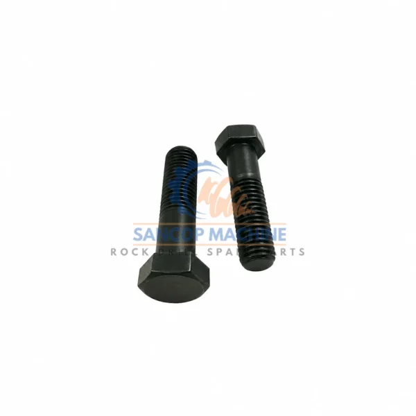 0147148303 Screw