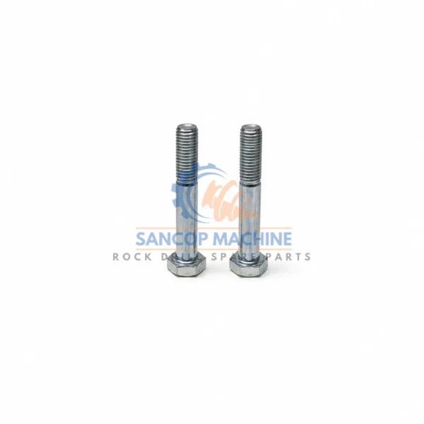 0147141003 Screw