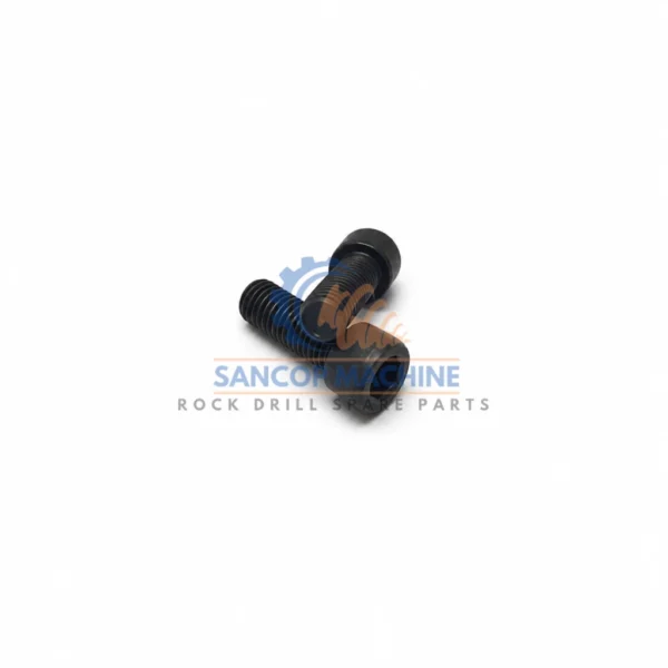 0211196084 Screw