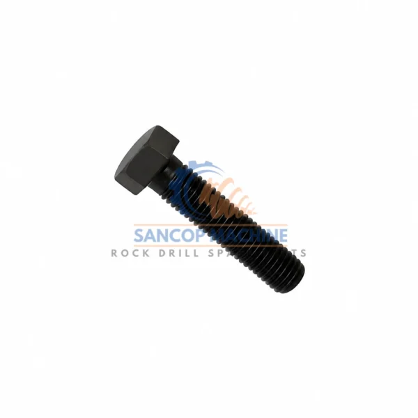 0211196309 Screw