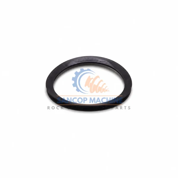 0666800704 Axial Seal