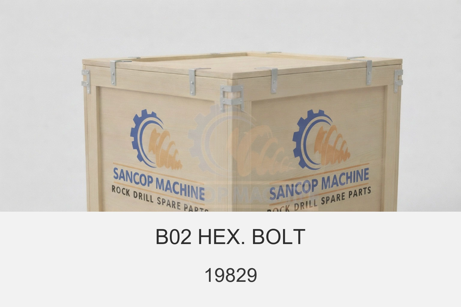 198 29 B02 Hex. Bolt