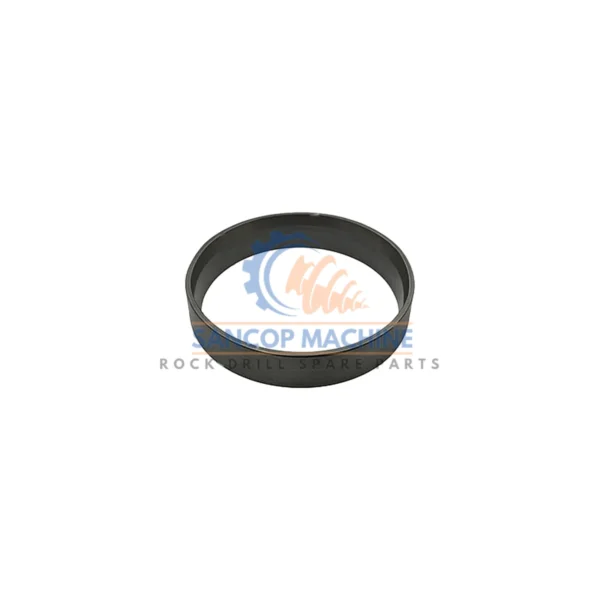 20806058 RING
