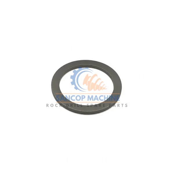 3115536000 DISK SPRING