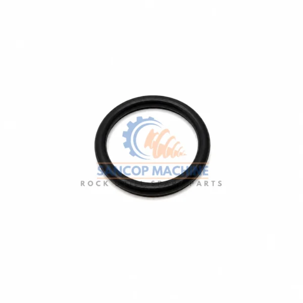 52215380 O-Ring