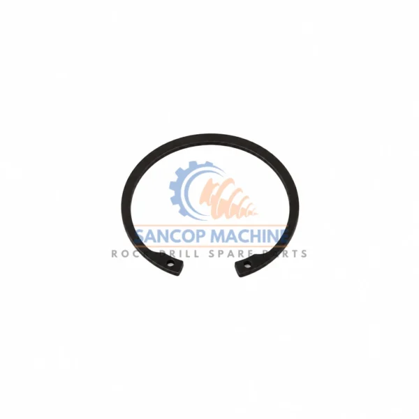 80020319 Circlip